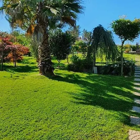 Villa Casa Brandao Povoa de Varzim Exterior photo