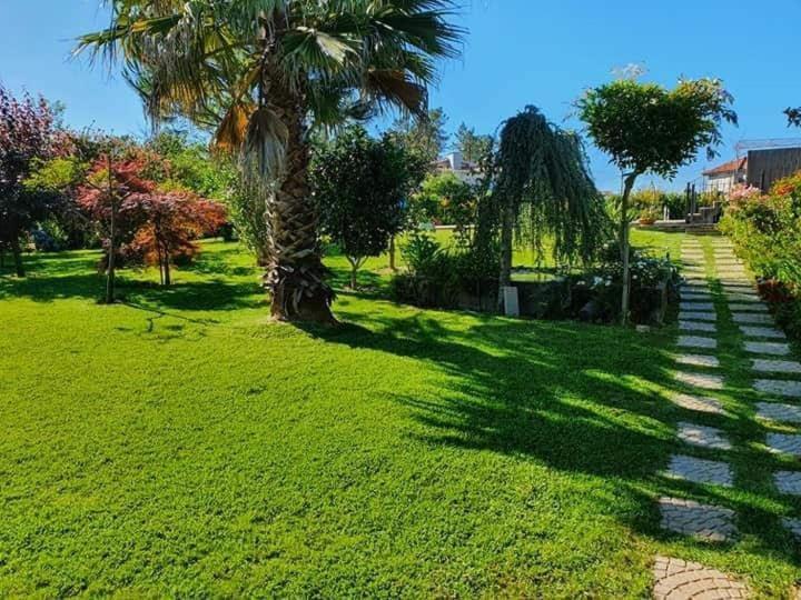 Casa Brandao Holiday home *